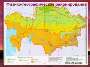 Природные зоны Казахстана: какие распространены на территории страны